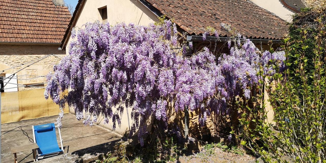 Gite Du Bouyssou Carsac-Aillac Екстер'єр фото