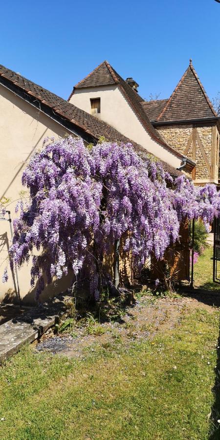 Gite Du Bouyssou Carsac-Aillac Екстер'єр фото