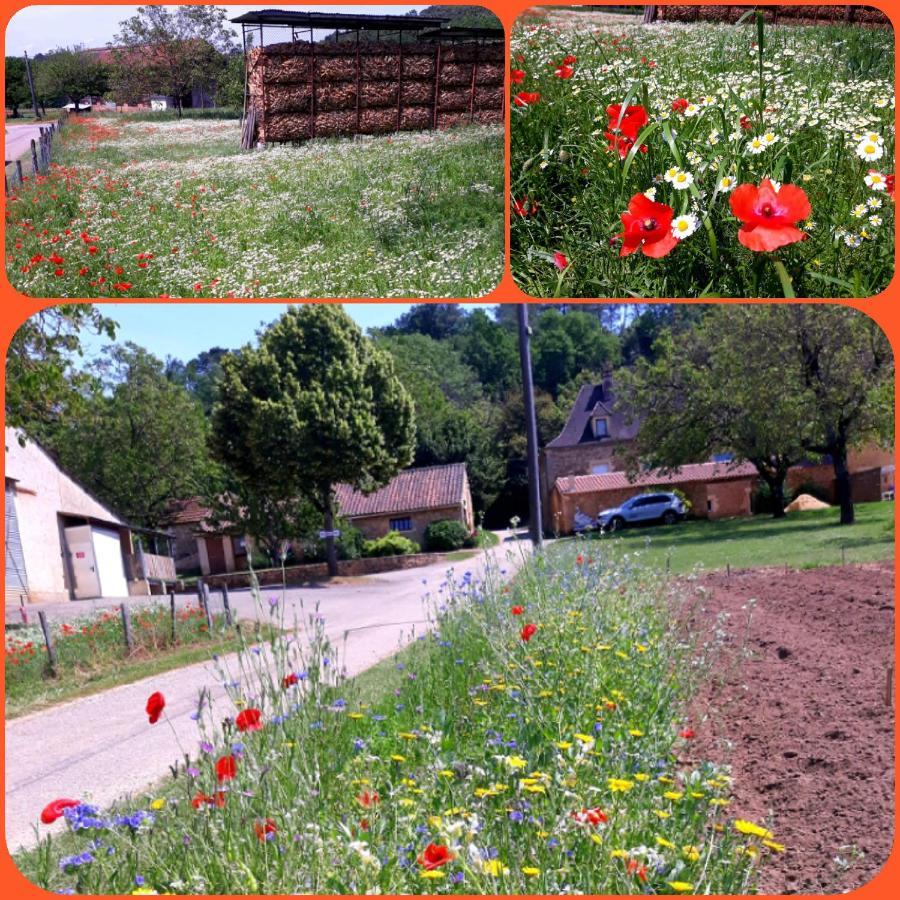 Gite Du Bouyssou Carsac-Aillac Екстер'єр фото